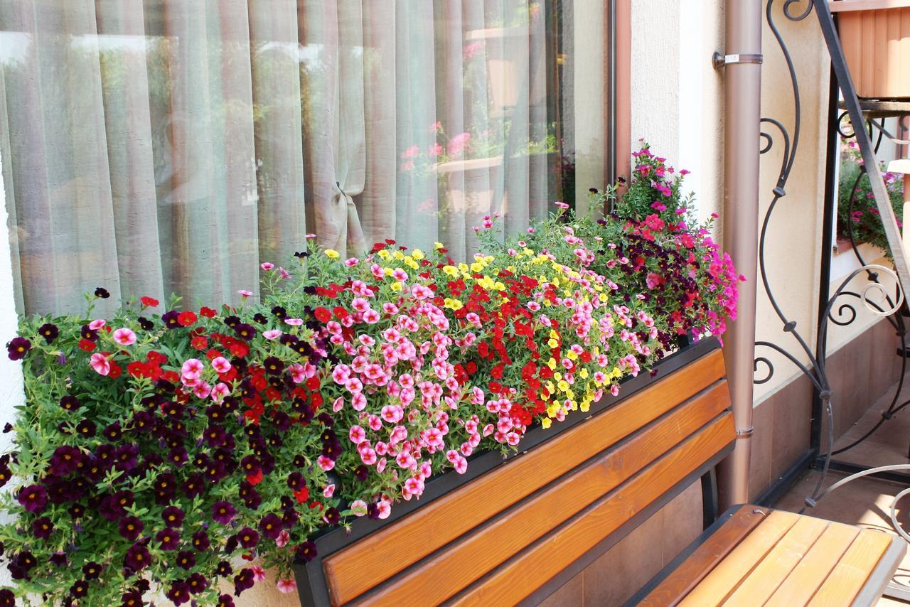 Hotel Villa Verde Гълабово Екстериор снимка